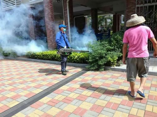 专业虫控消杀、蟑螂防治,守护健康洁净生活与办公环境