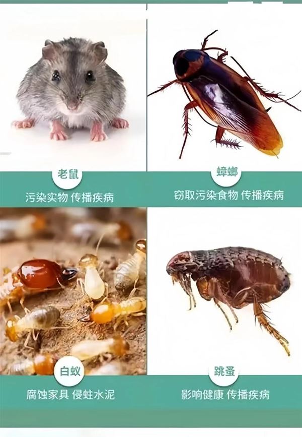 室内甲醛检测治理详细施工方案流程介绍